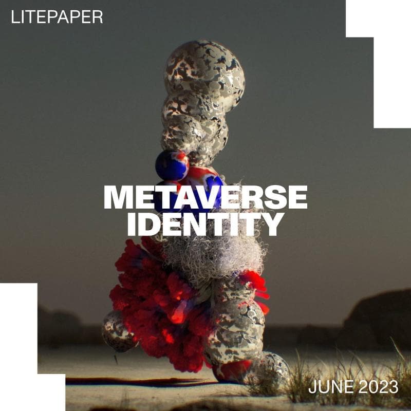 The litepaper's cover: a figure built from pale bubbles, red fibres and a flag-patterned ball on a dim plain, titled Metaverse Identity, June 2023.